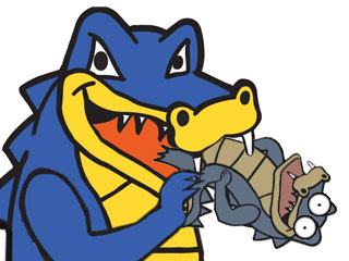 Hostgator eaten up by competition
